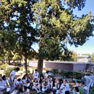 Convivencias